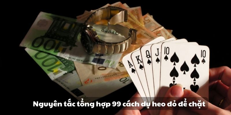 Nguyên tắc tổng hợp 99 cách dụ heo đỏ để chặt 